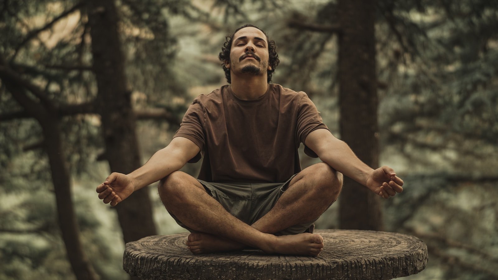 Mindfulness Therapy Programs: Learning to Breathe, Feel, and Be